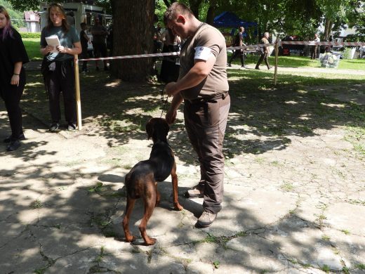 DSCN3971-1-scaled